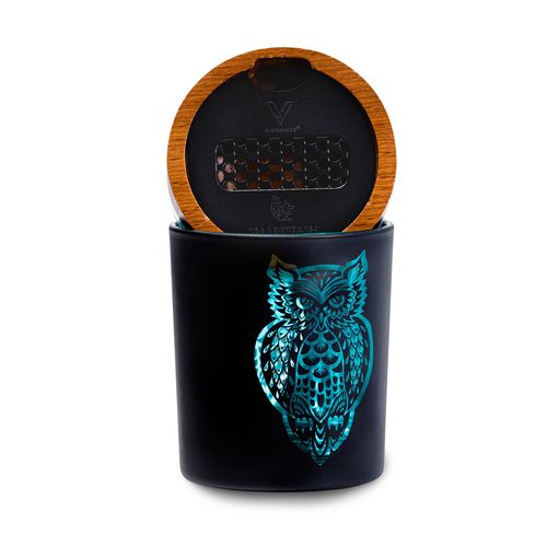 30% DISCOUNT - V Syndicate-SmartStash-Medium-Owllusion-Turquoise